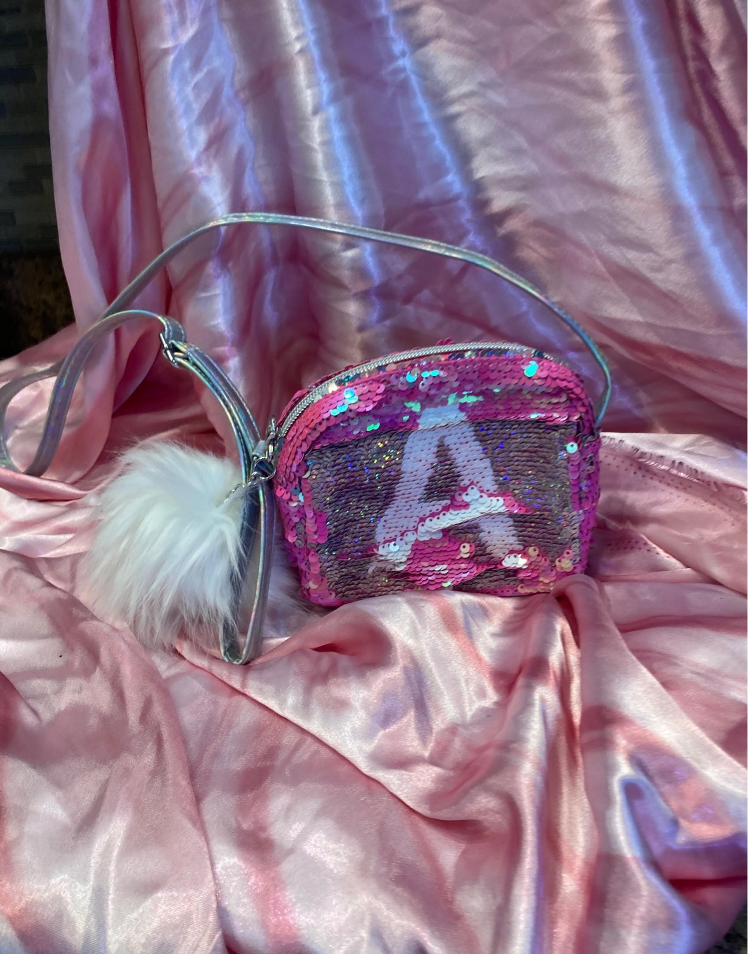 Small purse by justice