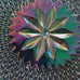 Carnival Glass Vintage