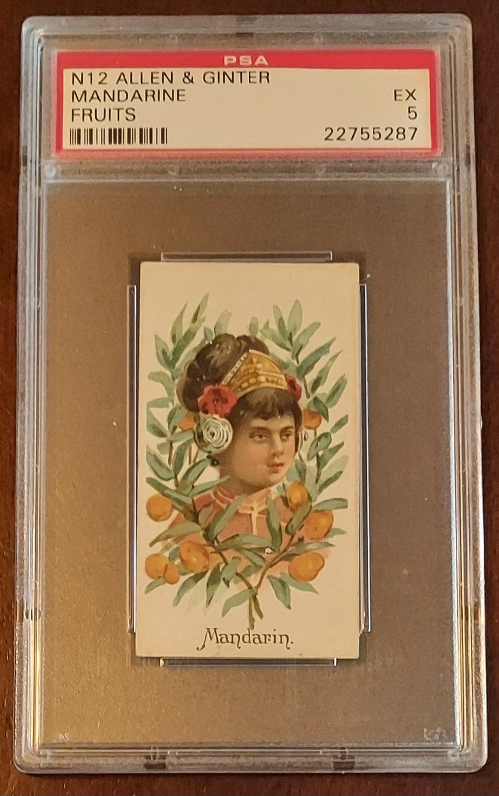 1891 N12 Allen and Ginter, Fruits -Mandarine, PSA 5