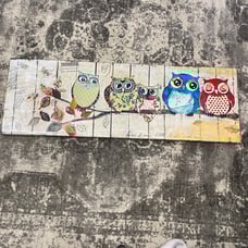 Owl Canvas Art, 59x20