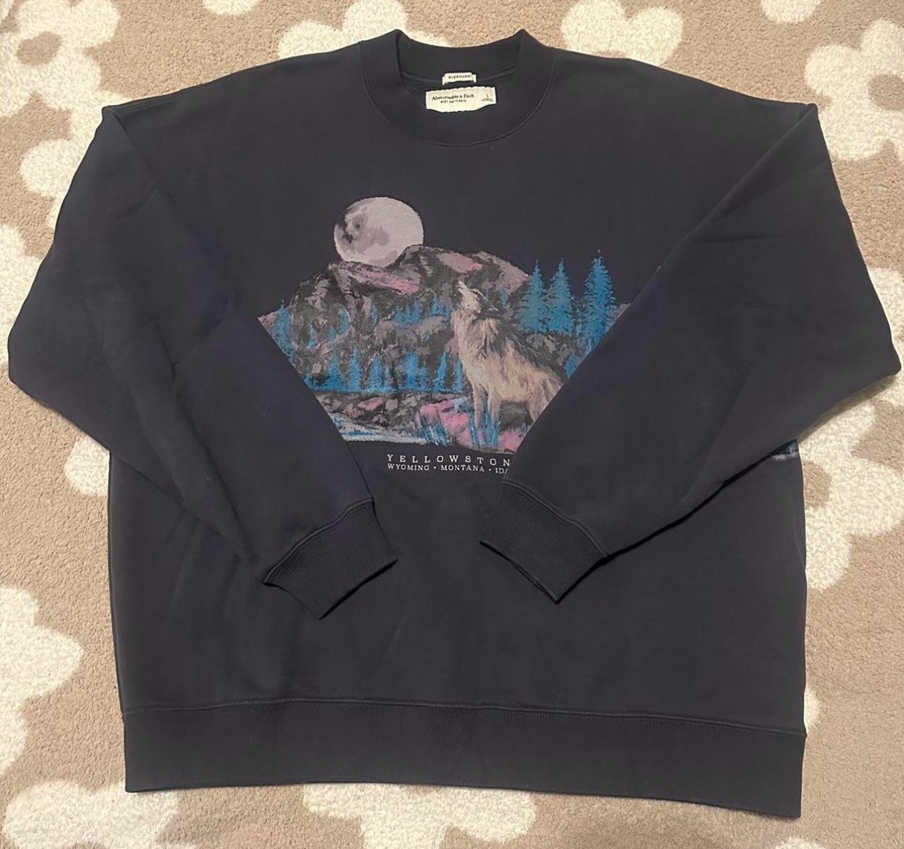 Abercrombie & Fitch Yellowstone Sweatshirt
