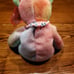RARE Ty Beanie Baby Peace Bear
