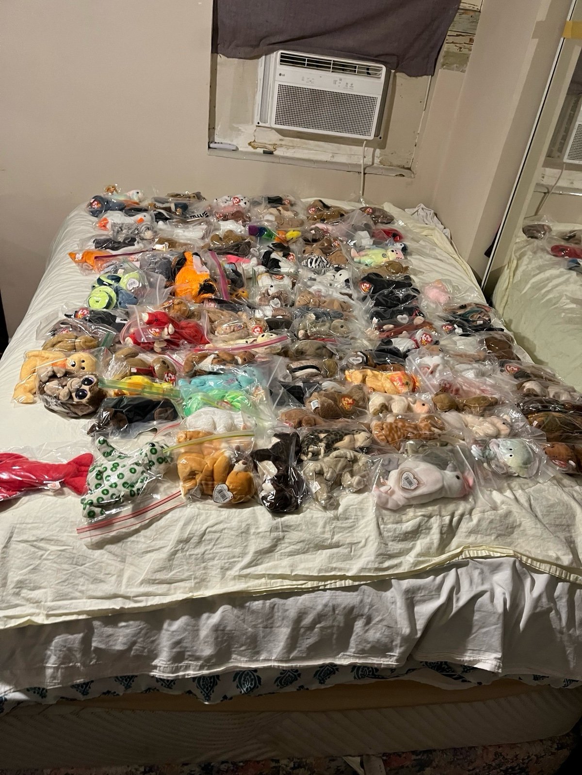 80 TY beanie babies