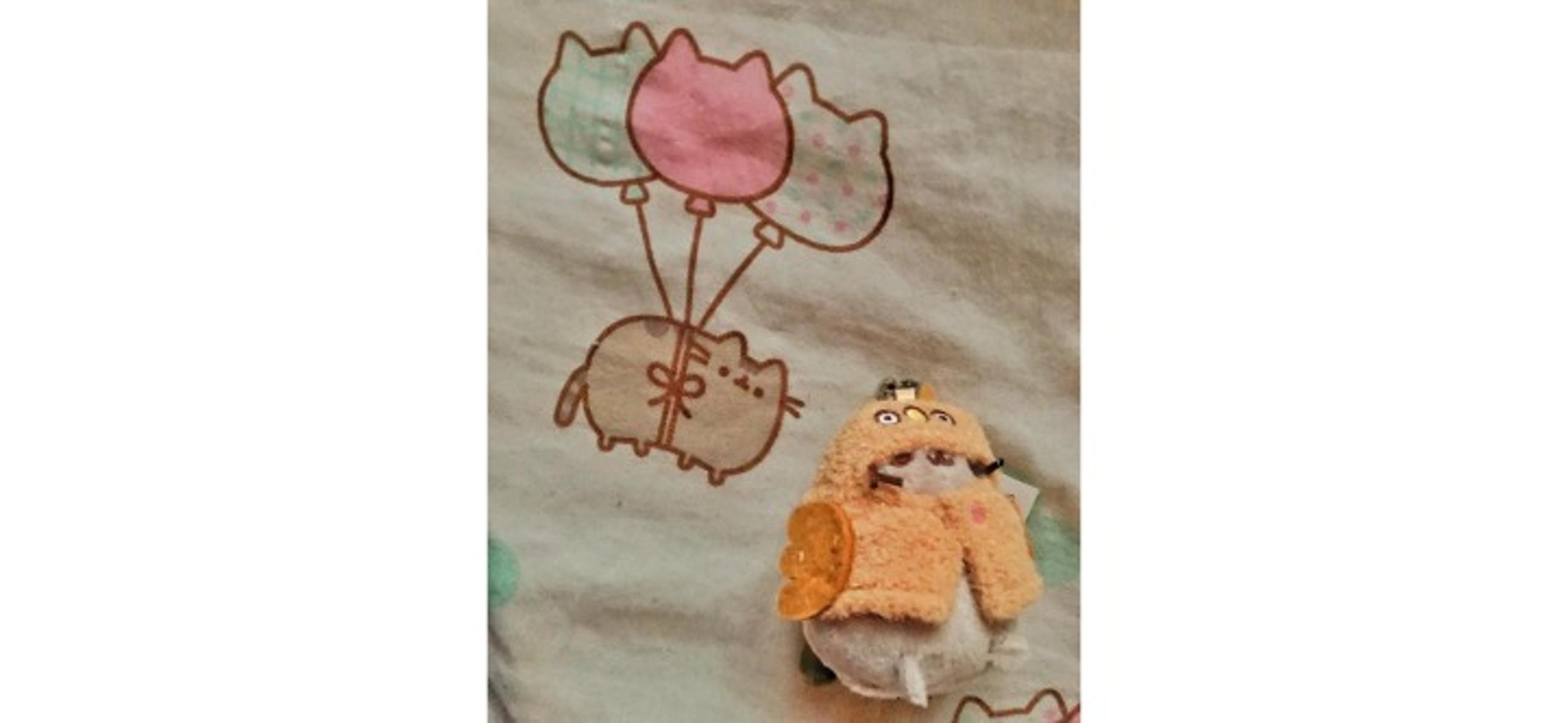 Pusheen Series 14: Warm & Cozy Blind Box