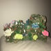 Fish Tank Decor