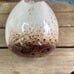 Tall white art glass vase with brown splatter 17”