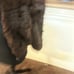 Rabbit fur coat