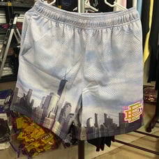 Eric Emanuel EE basic shorts new york skyline