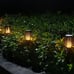 2-pack solar powered Torch garden art stake decoration outdoor landscape lamp ya
