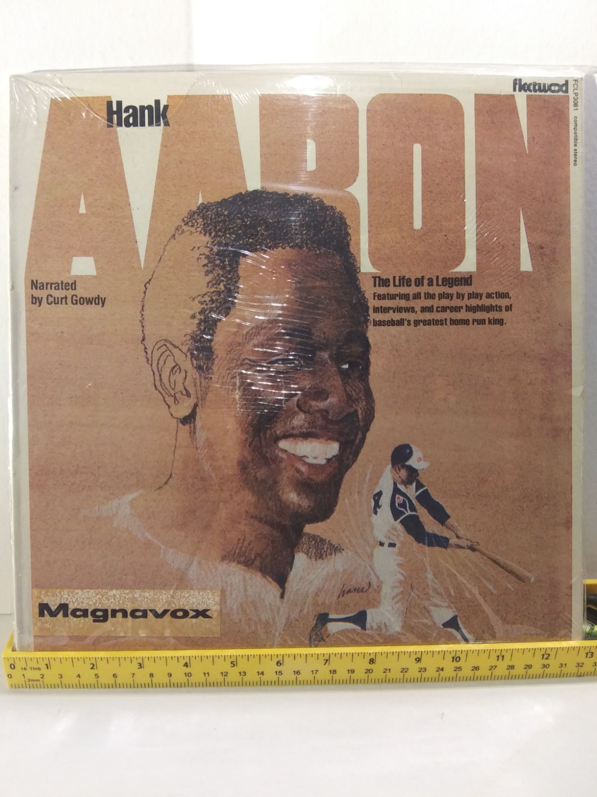African American Book/ Black Baseball
