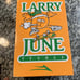 Lakai Larry June June Limited edition Skate shoes