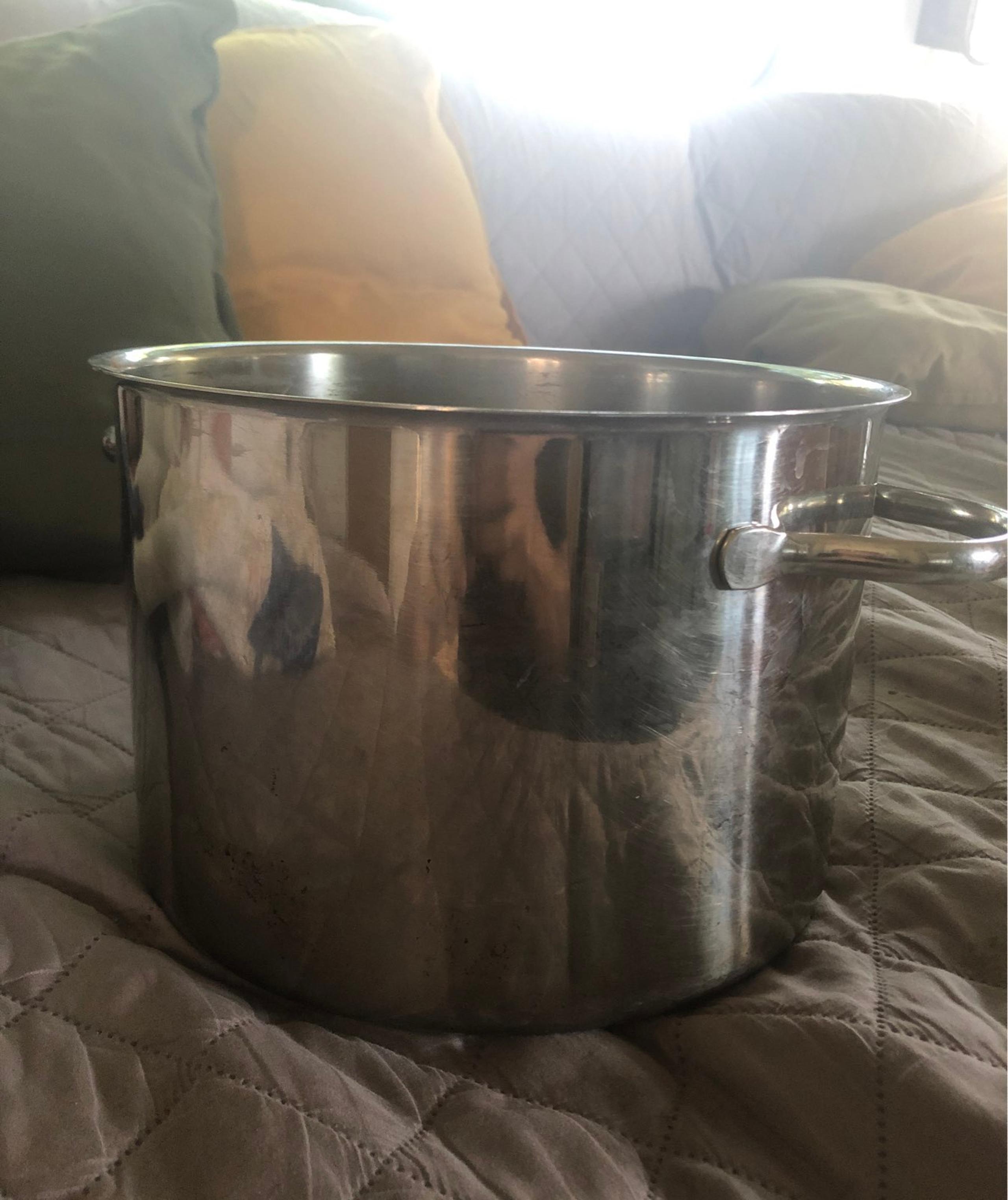 Magnalite Stainless Steel 8Qt Pot