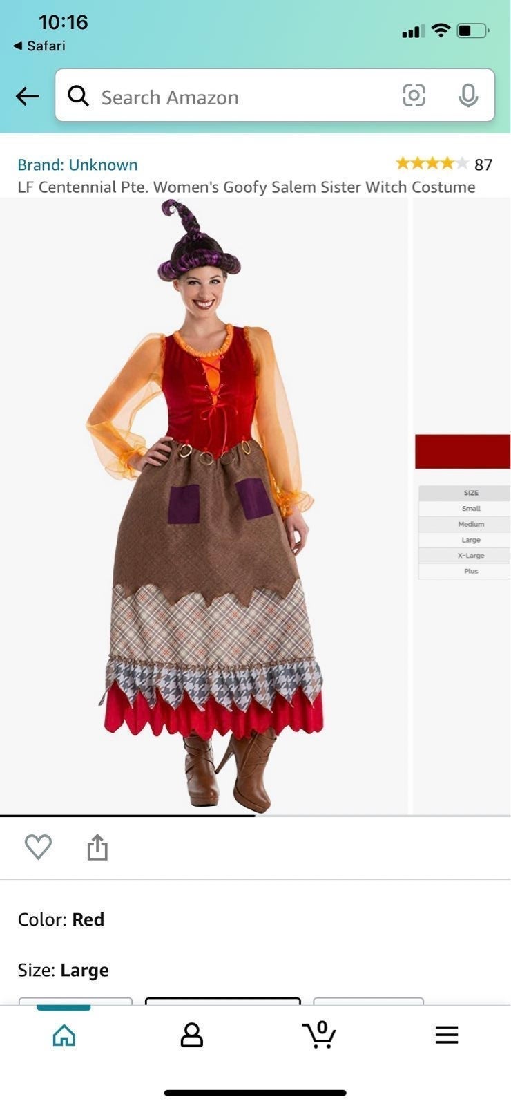 Costume