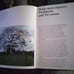 THE AUDUBON SOCIETY BOOK OF TREES By Les Line - Hardcover