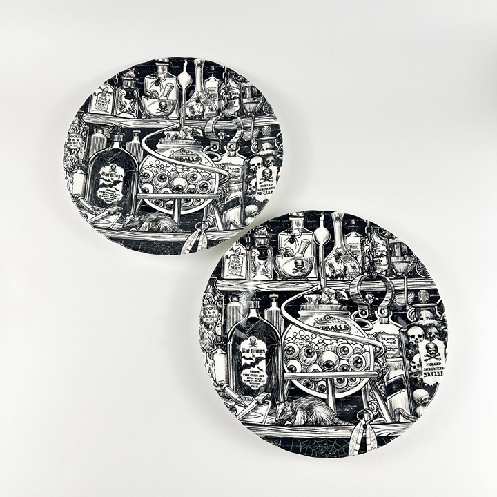 Royal Wessex England Halloween Black White Porcelain 2 Dinner Plates Apothecary