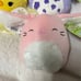 squishmallows