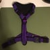 K9 Tactical Gear Everyday Harness Young Adult