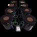 8-Plant RDWC Hydroponic System W/ 5-Gallon Control Reservior & water level kit