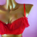 Red lingerie set