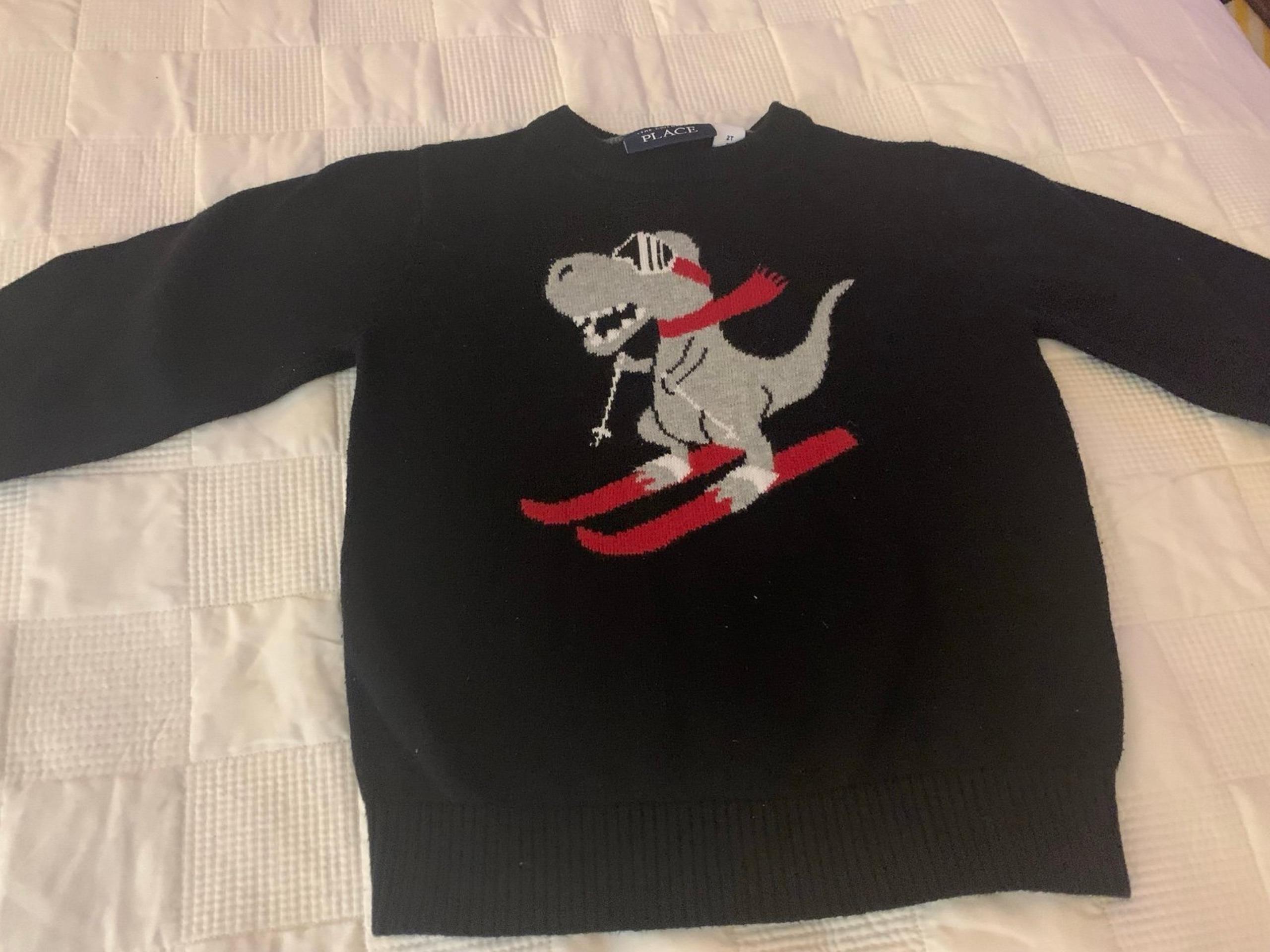 Dinosaur Sweater. The Children’s Place Boys size 2T.