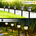 Solar Outdoor Lights LED Solar Lights Outdoor Waterproof 12 Pack Warm White
