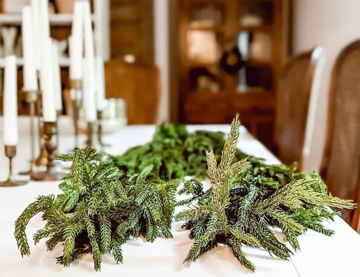 Afloral Real Touch Norfolk Pine Entry/Staircase Christmas Garland-180 Long/15'