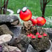 Steel Red Ant Figurine with Solar Powered LED Lights for Yard