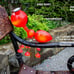 Steel Red Ant Figurine with Solar Powered LED Lights for Yard