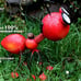 Steel Red Ant Figurine with Solar Powered LED Lights for Yard