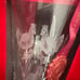 Waterford 12 days of Christmas 3 French hens champagne flute in box charm