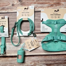 S- Wild One Dog Collar, Leash, Harness and Poop Bag Carrier NWT Seafoam