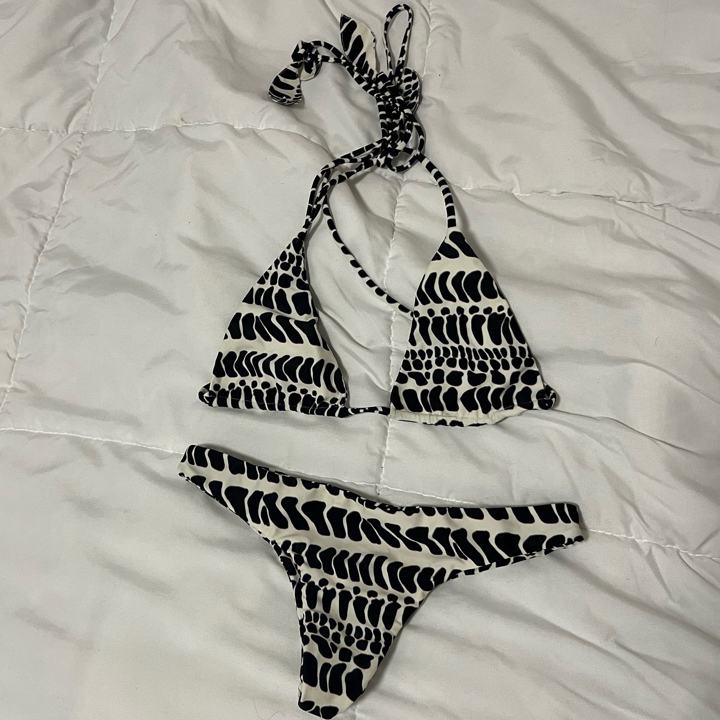 Benoa Hebrew Cone Shell