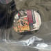 Nick Diaz UFC Autographed Glove with COA