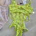 Lingerie Bundle NWT