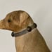 Late 19th Century Antique Rustic Primitive Hand Carved Sitting Toy Dog Statuette