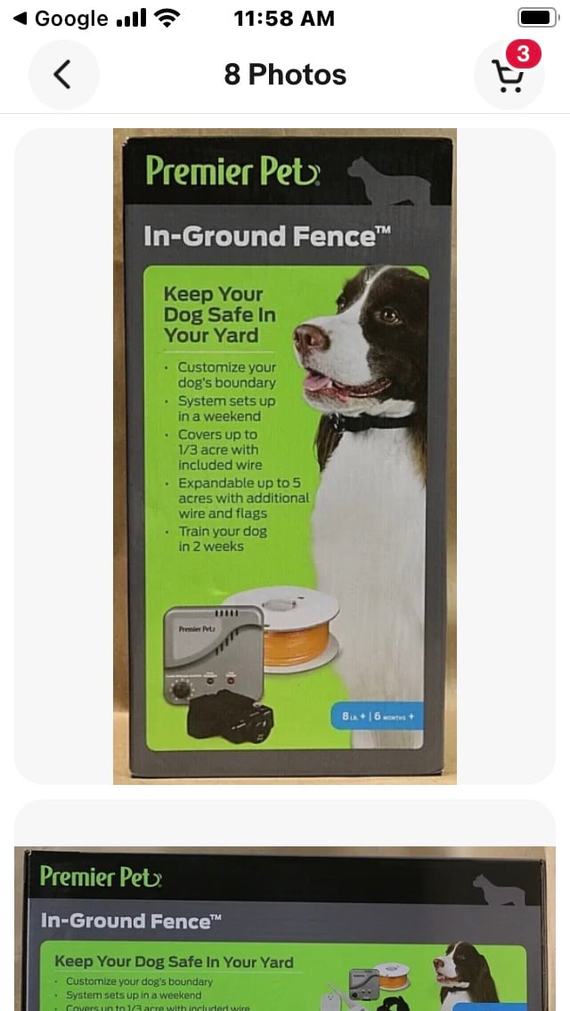 In Ground Dog Fence