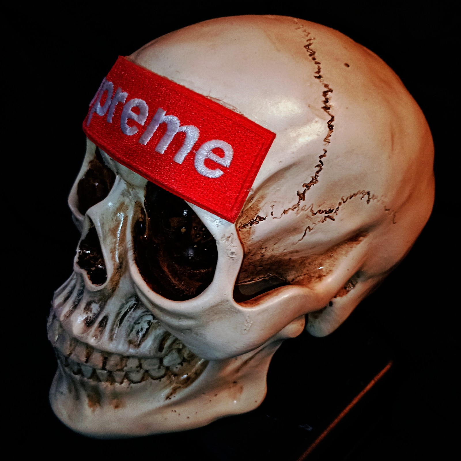 Large supreme skull