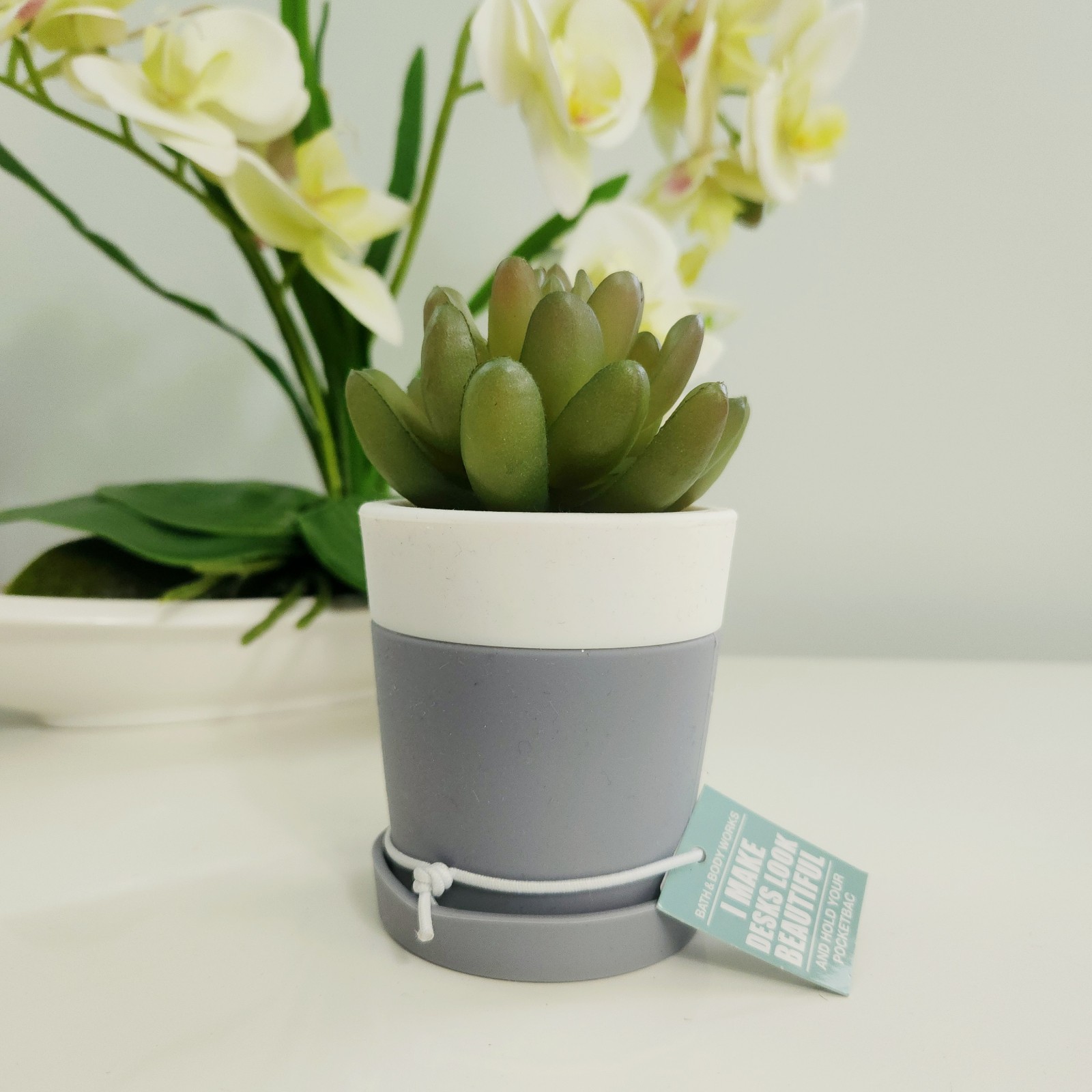 1 Succulent pot desk pocketbac holder.Bath and body works