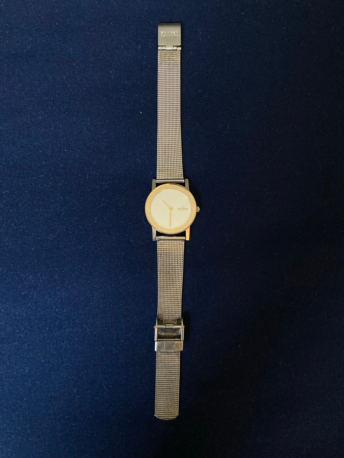 Skagen Denmark Women’s Watch | Stainless Steel, Two Toned Color