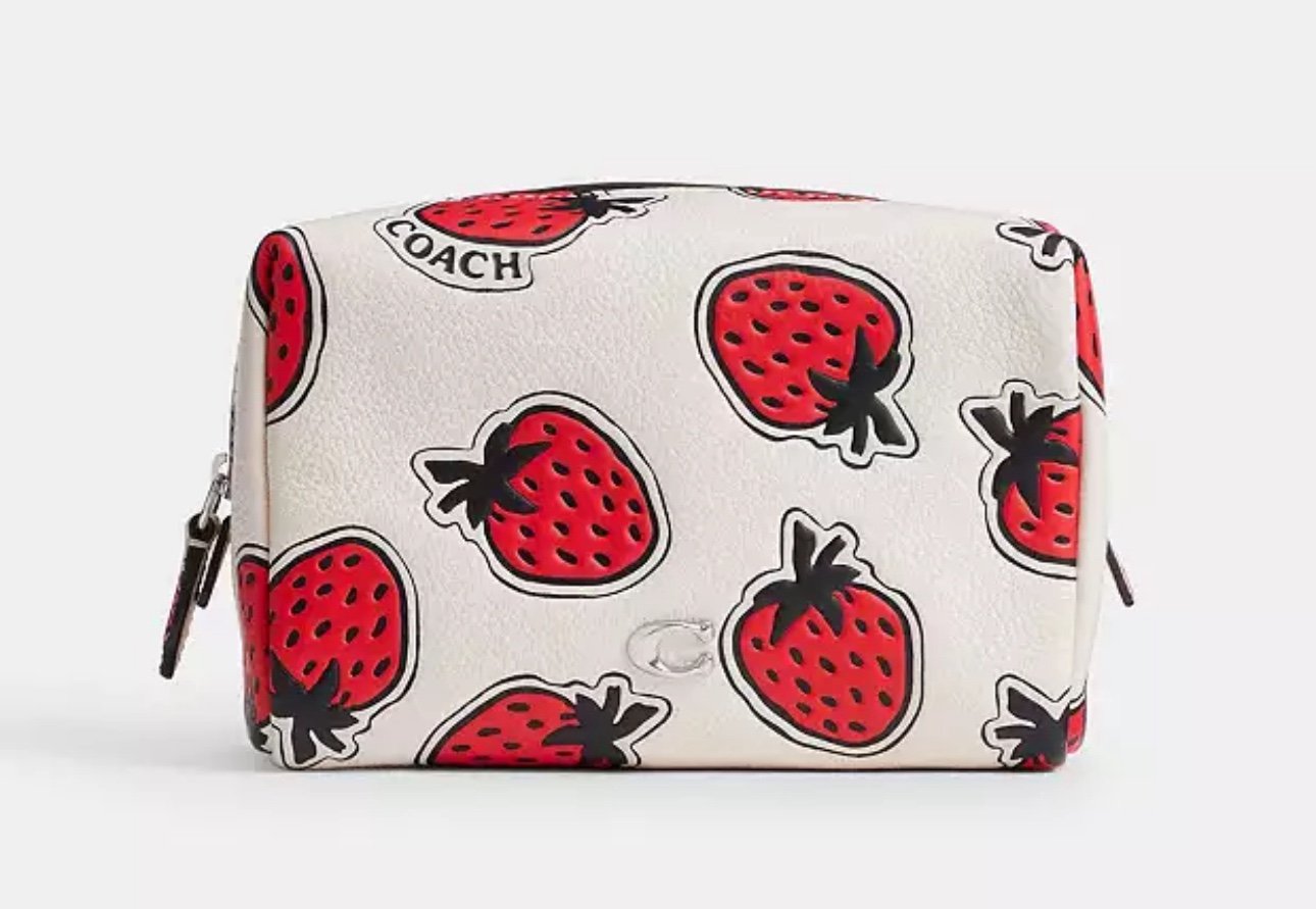 Coach Essential Cosmetic Pouch With Strawberry Print