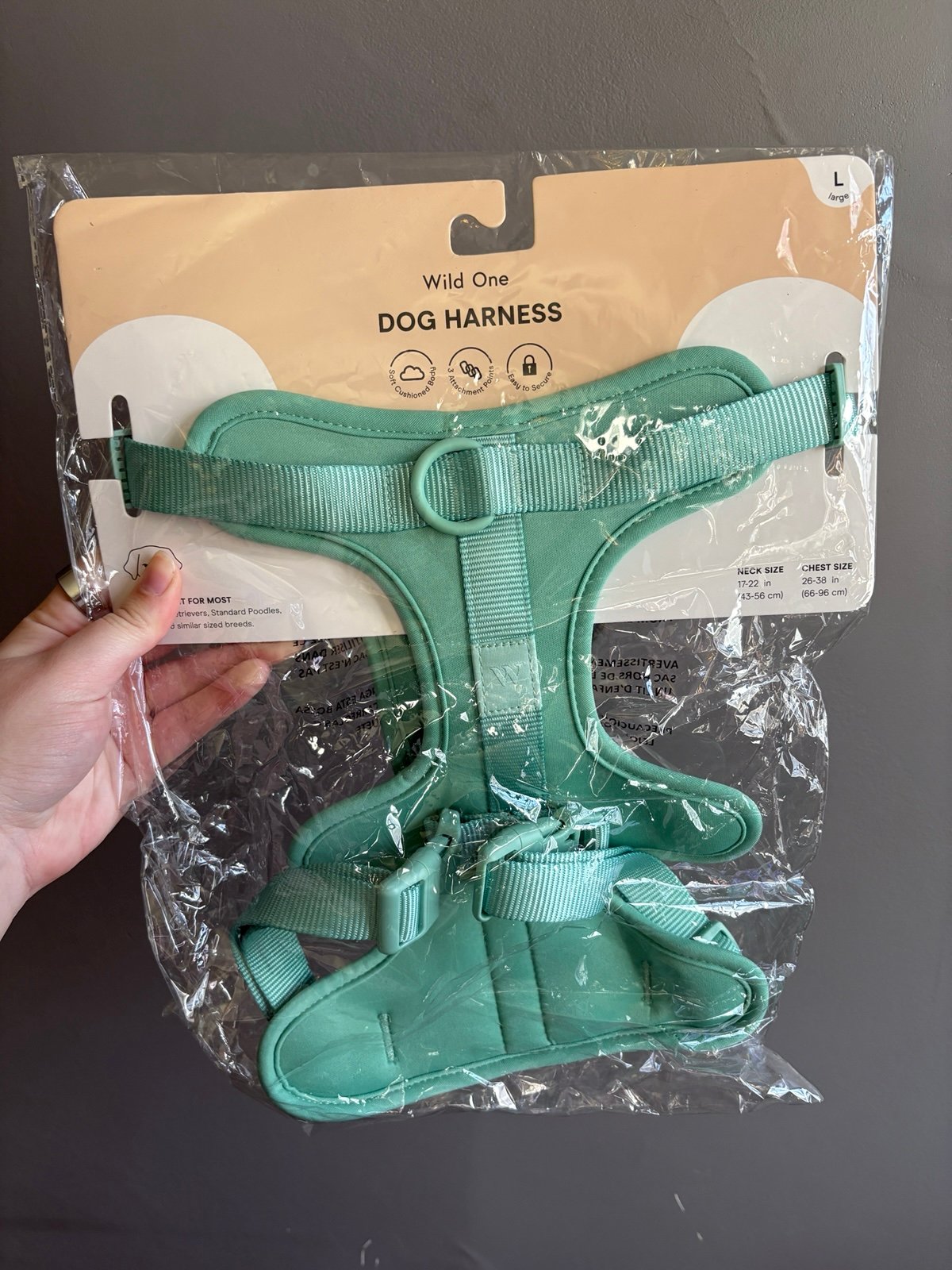 Large Wild One Dog Harness NWT (Seafoam)