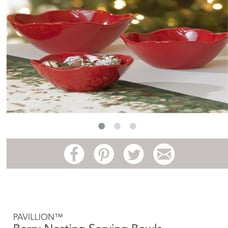 Berry Nesting Serving Bowls  6857