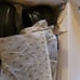 Deer Stags dress shoes size 6m