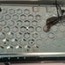 Pioneer CD Player