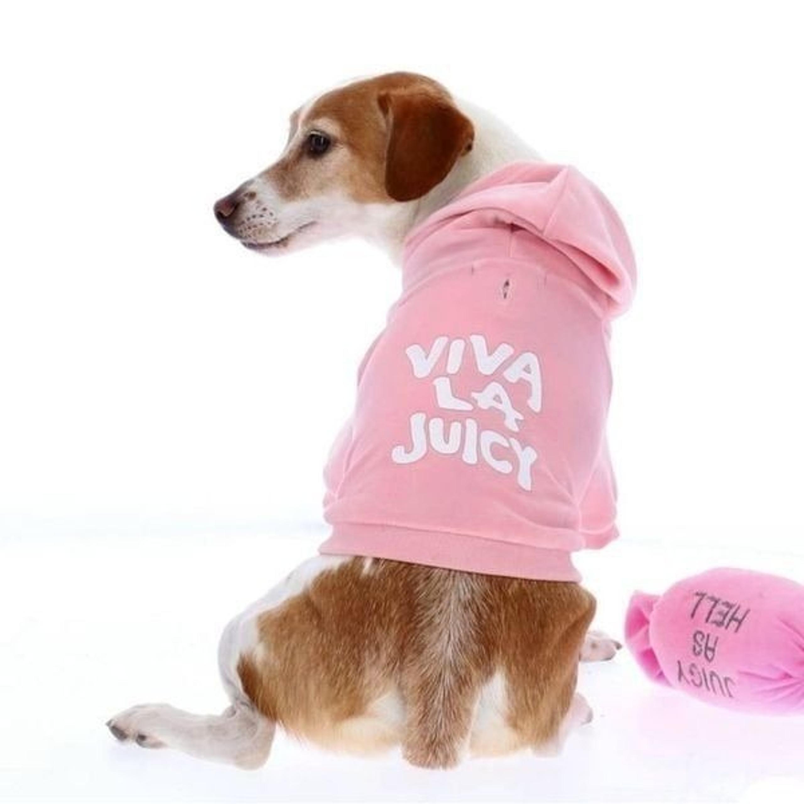 Juicy Couture Pink VIVA LA JUICY Pet Hoodie Velour Sweatshirt Dogs Cats Sz Large