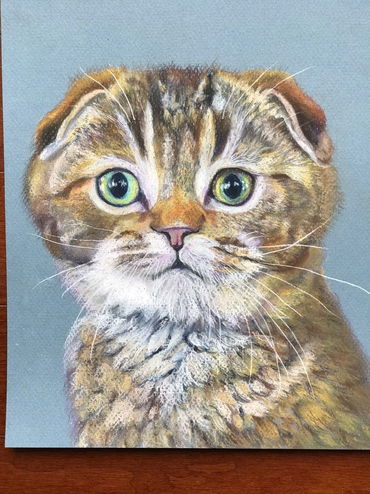 Original pastel drawing of cat