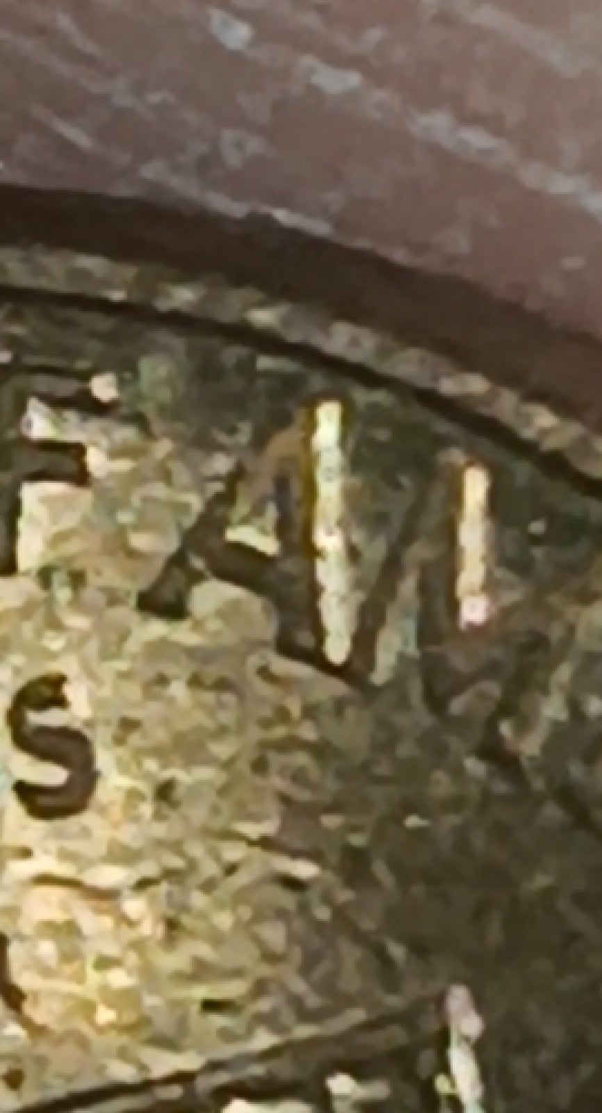 1996 d penny