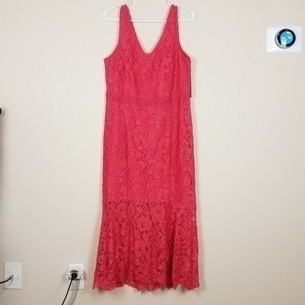 Nannette Lepore Cameo Rose Lace Dress Size 12