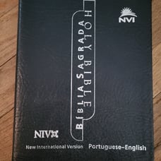 NIV Portuguese English Bible Blue 2000 Vida Brazil