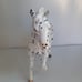Breyer Apaloopsa Horse